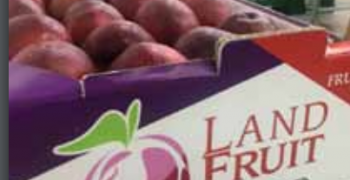 Landfruit offers made-to-measure programmes