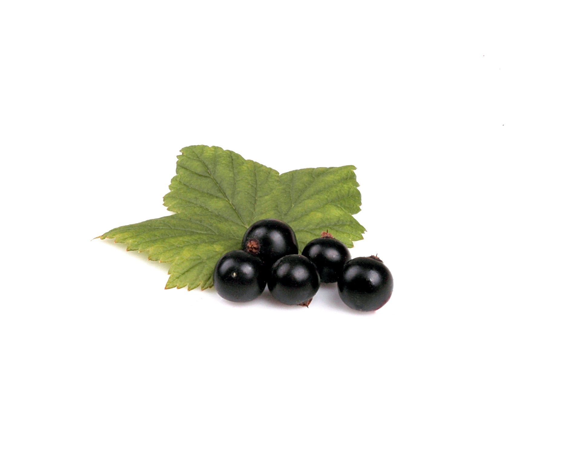Blackcurrants are also especially rich in Vitamin C - containing more than three times as much as an orange! They can even help prevent joint inflammation, eyestrain and urinary infections.