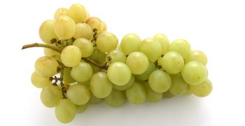China leaps to new grape export record