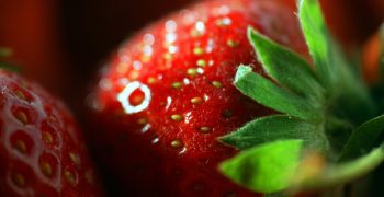 Rises in Spain’s strawberry, tomato crops