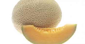 Surge in cantaloupe sales in the US