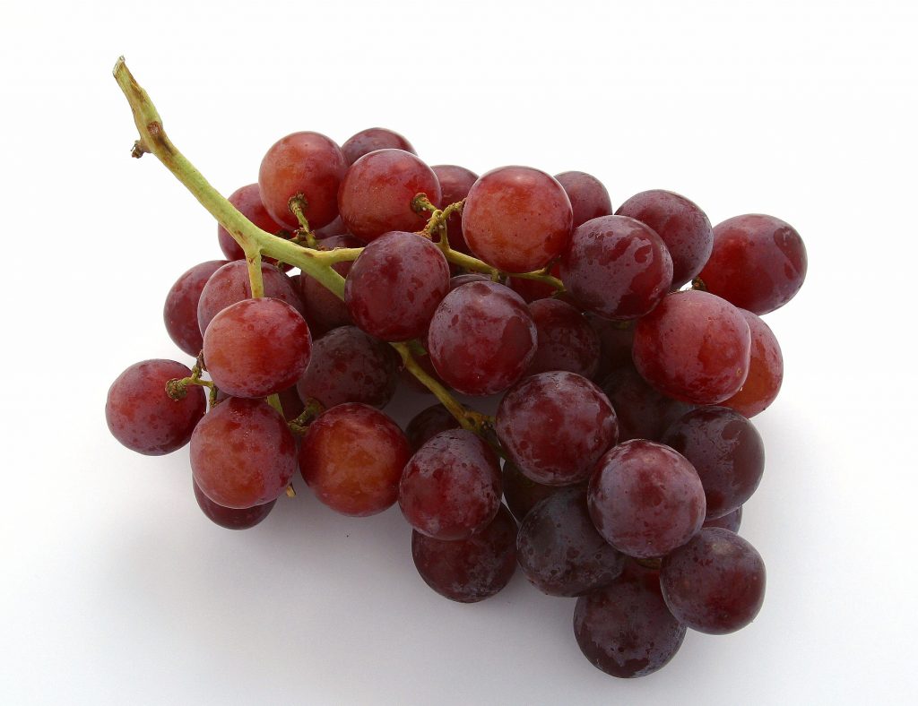 Thanks largely to shoppers buying them more often, retail sales of fresh table grapes in the UK are up 2.2% on last year to 227.9 million kg.