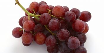 Small rise in grape sales in UK