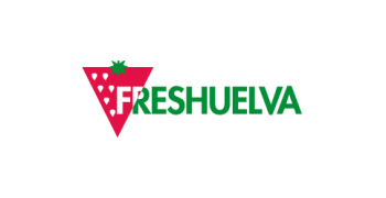 Huelva strawberry sales up 8%