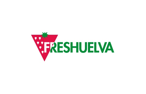 Spain's strawberry capital, Huelva, has ended its latest season with production up 2% on last year to 294,650 tons.