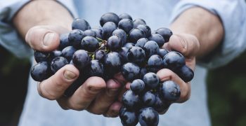 Americans spend $170m more on table grapes