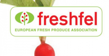 Freshfel Europe calls for ongoing talks with Russian authorities