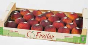 Fruilar boosts peach and nectarine supply