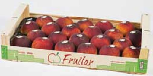 Thanks to its balance between pome fruit and stone fruit, Fruilar has a year-round supply of fruit.