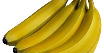 How sustainable is the banana industry?