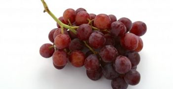 Record exports of Australian grapes