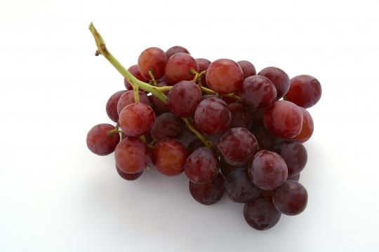 Australian growers need to supply fruit with high sugar content, crisp berries and consistent bunch colour in order to command a premium price over the significant volumes being produced by Chile