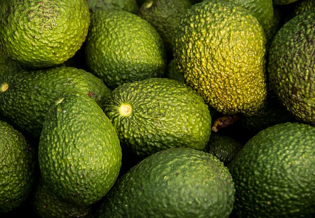 According to SUNAT and the Peruvian Avocado Commission (PAC), last year 27% of Peru’s avocado exports went to the US and 65% to the EU. Exports to the US are expected to total about 45,000 tons this year.