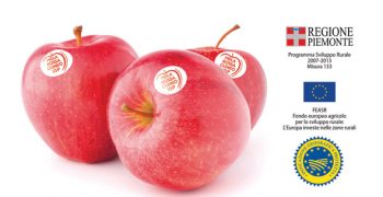 More promotion for Cuneo PGI red apples