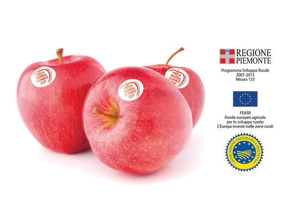 Showcasing one of the most important PGIs in the Italian fruit sector, as well as the terrain that produces it, as the foundation of a sales strategy that looks beyond Italy’s borders: this is the policy of Asprofrut – Assortofrutta with regards to Cuneo PGI red apples.