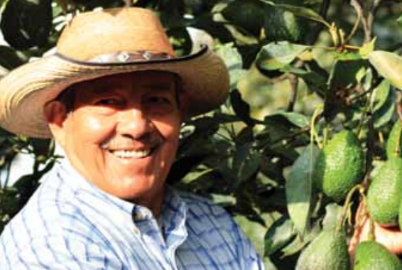 “Our mission is to conquer international markets for Mexican avocado, maintaining sustainable development of our fruit through unity, equity and teamwork of all the producers and packer-exporters in the country