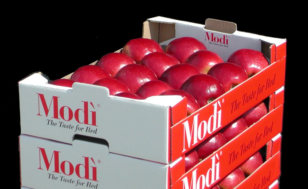 The farming plan aims to reach about 1,000 ha worldwide in the next few years – with roughly 80% located in the Northern Hemisphere – and global production of the variety reaching about 30.000 tons, thus achieving a favourable balance between supply and demand for Modi apples. 