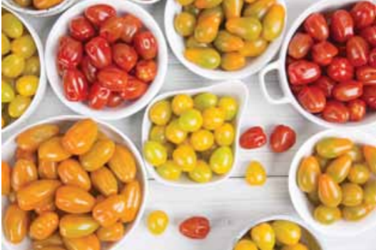 “Retailers are aiming to strengthen the format by bringing taste into the tomato assortment.”