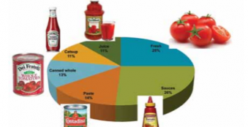 US retail favours innovative greenhouse tomatoes