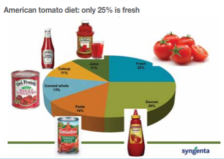 The domestic tomato crop meets just 41% of demand in the US. A small proportion – 6% – is imported from Canada but the vast majority of fresh tomatoes for this market are supplied by Mexican growers who offer consistent winter supplies and low labour costs and account for 52% of the market, 