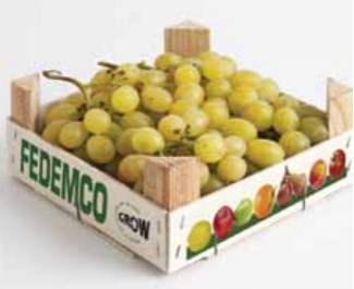 Fedemco, which represents 95% of the wooden container production sector in Spain, and manufactures on average 600 million crates annually, confirms its total support for exporters in the search for new markets.