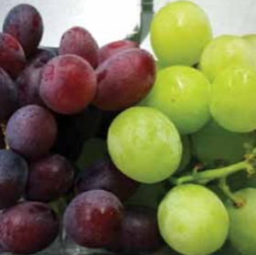 World demand grows for Italian seedless grapes