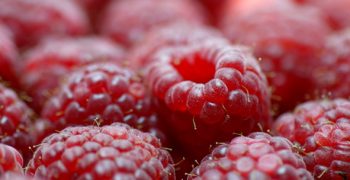 Record sales for European berry market