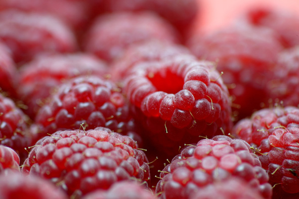 In consumption by country, northern nations are the biggest consumers of berries, especially the UK and Germany, consuming over 10% more than other European countries. 