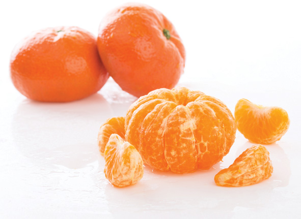 Exports of Peruvian mandarins have made Peru the seventh biggest supplier of this fruit in the world, as well as the most significant exporter in Latin America. With the US, UK, the Netherlands and Canada at the forefront, Brazil now also imports this Peruvian citrus. 