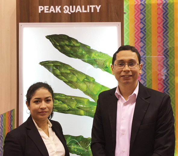 Peak Quality's business strategy consists of consolidating its foothold in markets where it is already present, such as Spain, the largest European market for its exports, followed by the Netherlands, the UK and Italy, prior to further expansion.