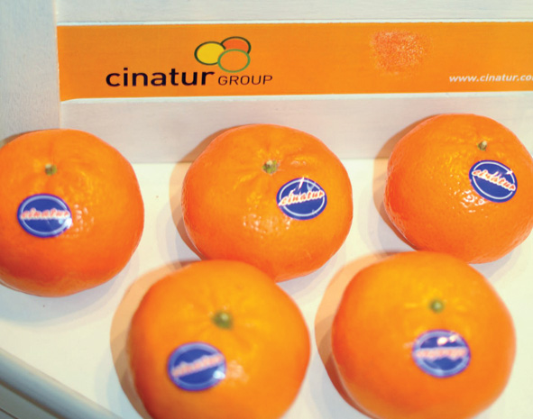 “We take care of the entire logistics chain as well as selecting and purchasing the product from the producer at source. Above all, we work with our producer partners such as Filósofo, Exportaciones Cistar, Frutas Tono, Frutas Gagnon and Dracma, all of whom are citrus companies,” said manager Marc Frat.
