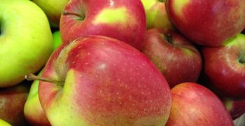 Taiwan’s apple imports to decline slightly, says USDA