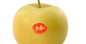 Yello apple makes its debut at Interpoma