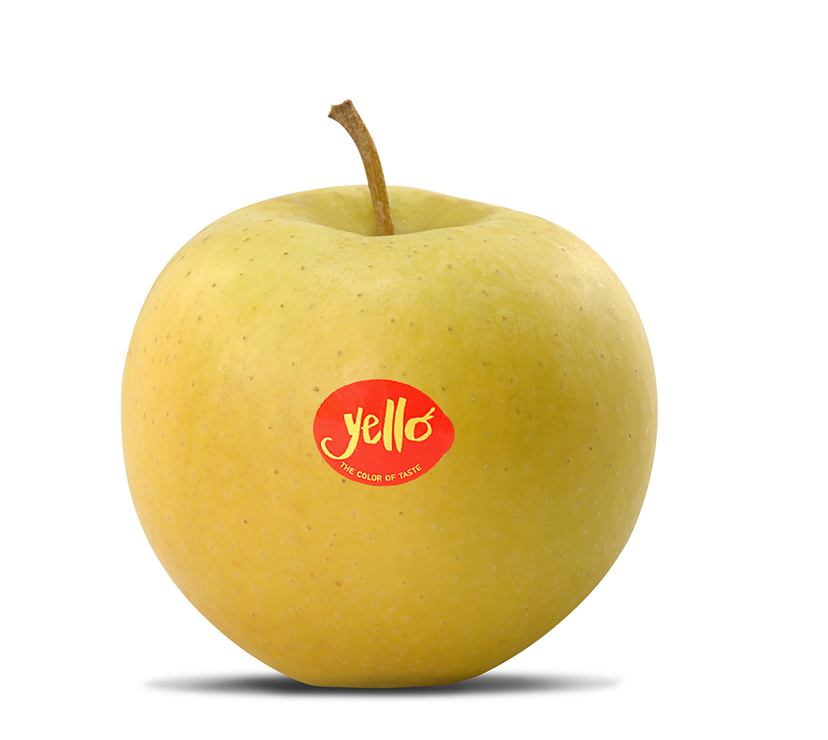 Created in Japan, exclusively harvested and marketed for Europe in Alto Adige - Südtirol, the new yellow apple Yello® made its world debut at Interpoma 2016 in Bolzano