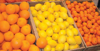 Citrus sales climb 8.2% in value in US