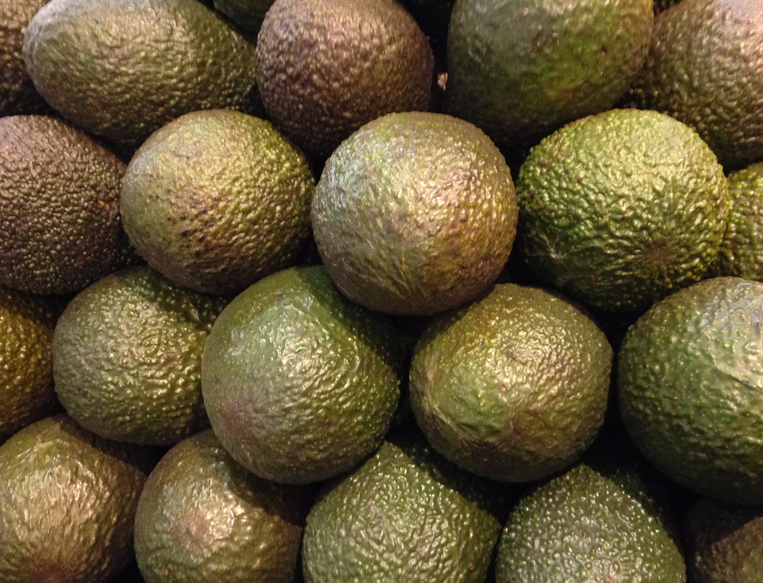 Mexico’s Hass avocado production is forecast to rise to 1.8 million tons and its exports to total over 1.0 million tons in 2016/17.