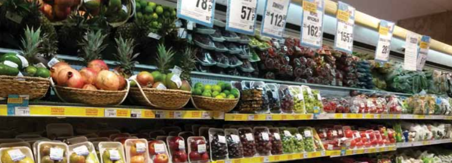 Russia’s fruit imports have decreased less than expected, dropping from 6. 3 million tons in 2013 to 5 million tons in 2015.