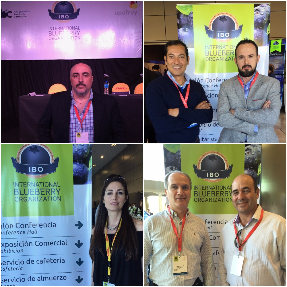 Some of the leading companies seen at the 6th edition of the the International Blueberry Organization (IBO) Summit, which took place in Concordia, Argentina, and in Salto, Uruguay, over September 20-22.