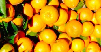 Egypt remains world’s top orange exporter