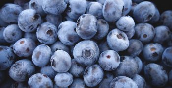 All about blueberries in Latin America