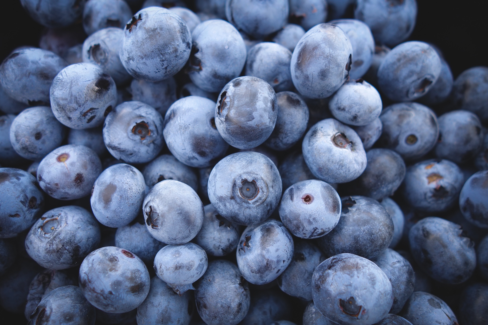All about blueberries in Latin America