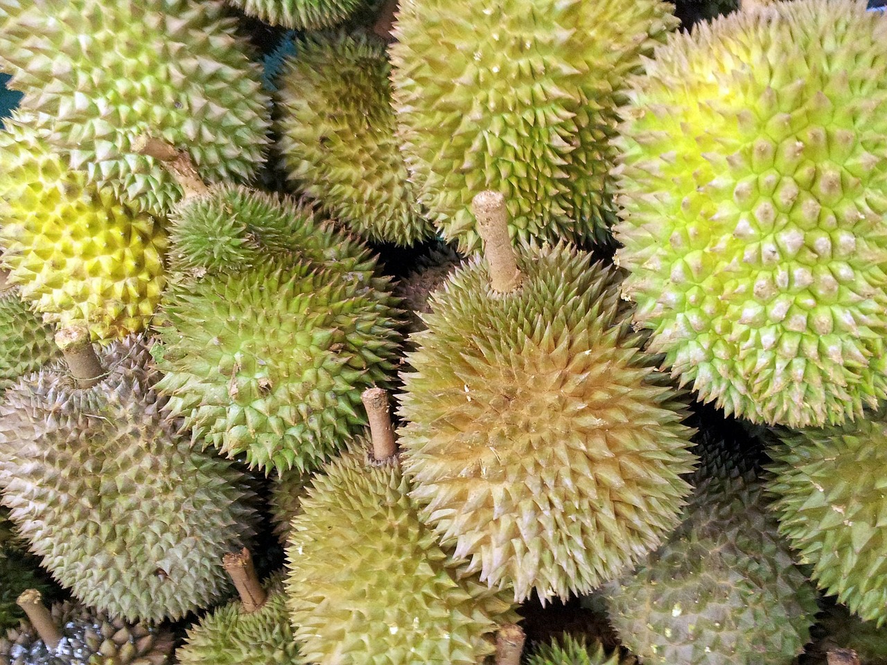 The most popular fruits exported to China from Thailand are durians, called the ‘king of fruit’; mangosteens, the ‘queen’, and longans.