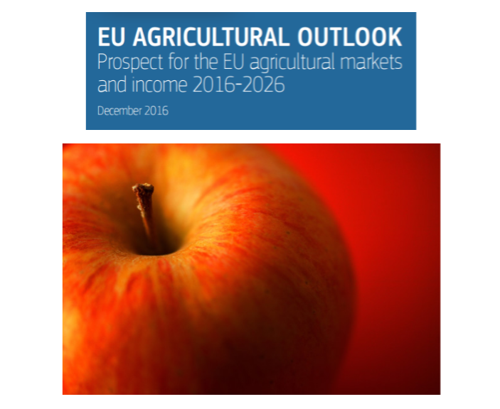 Imports of fresh apples decreased in the last 10 years and are not expected to recover, while exports, affected by the Russian ban since 2014, are striving to find new outlets on the world market and should continue to do so.