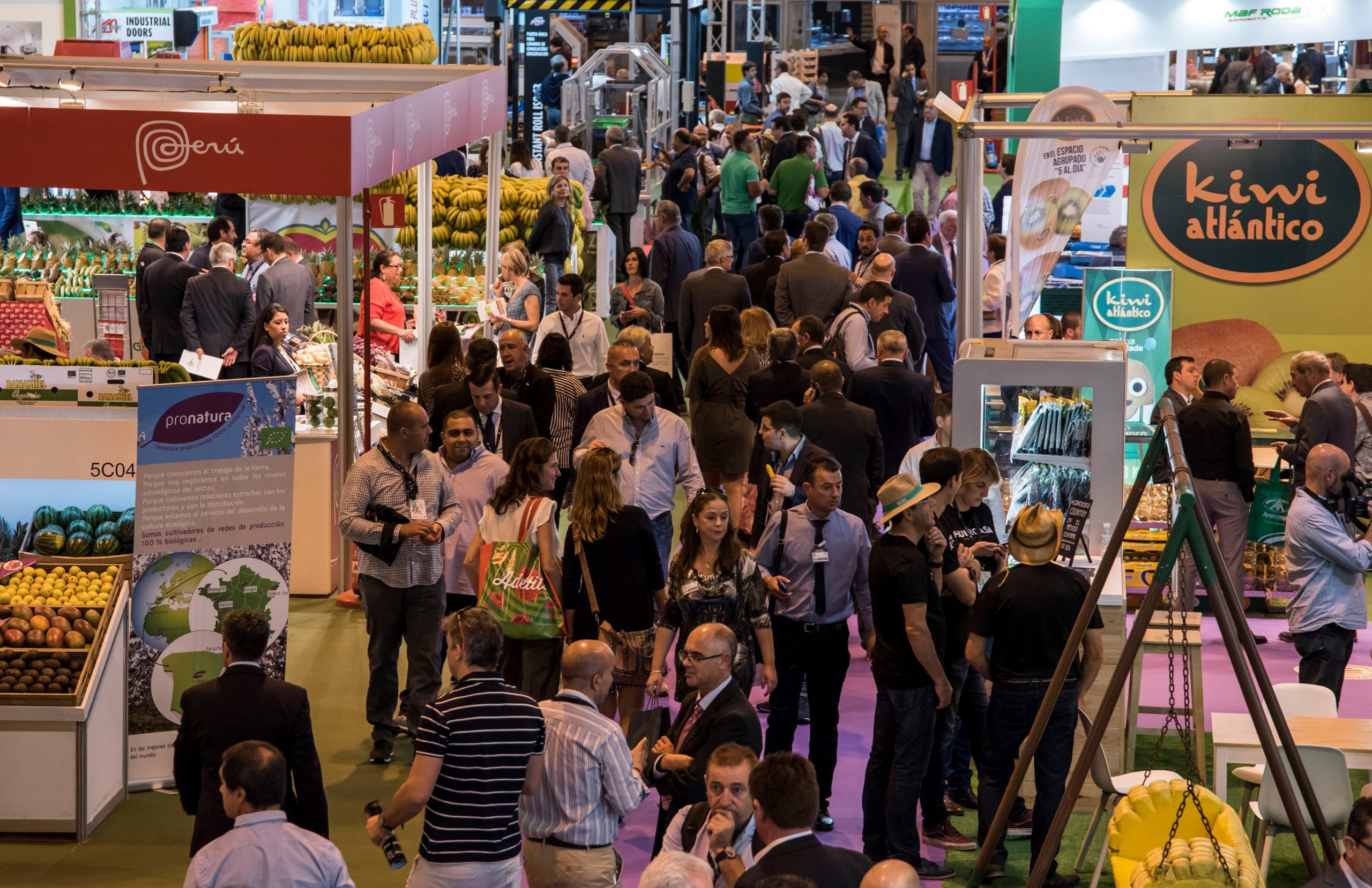 Fruit Attraction has strategic importance as a major platform and international meeting point for fresh produce operators.