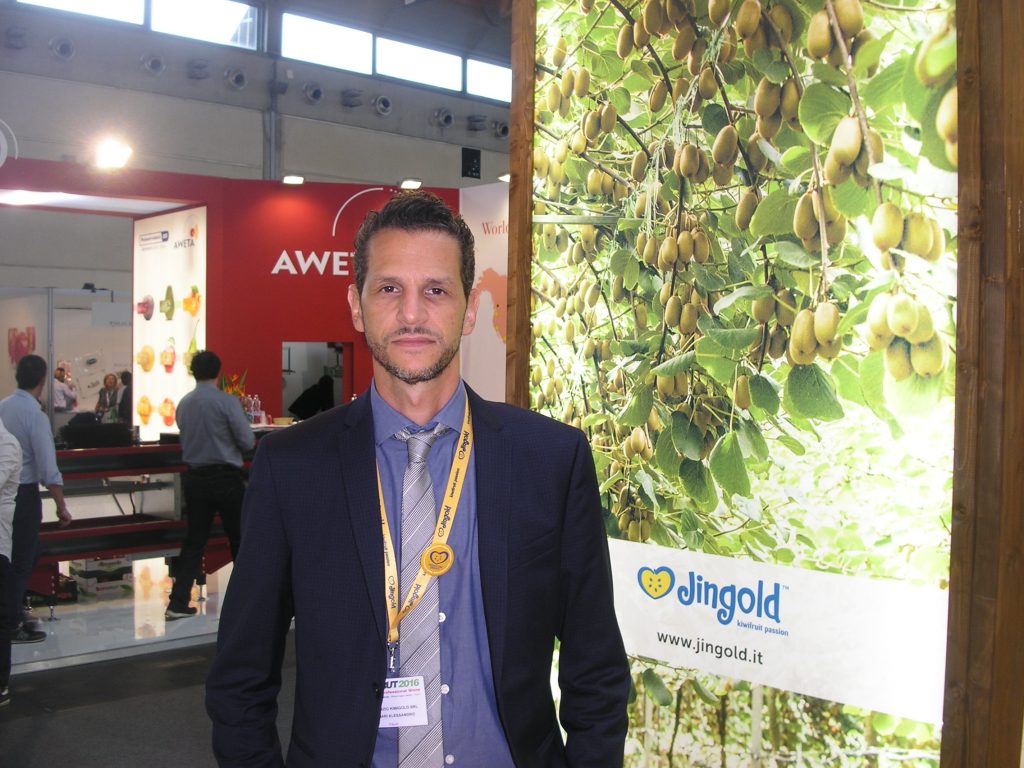 Jingold’s 2016 campaign will be dominated by new varieties of kiwi.  