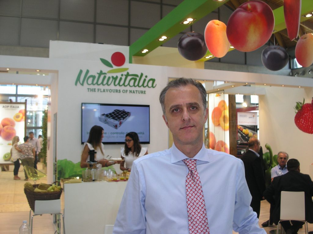 The Kiwi 2016 campaign of Naturitalia featured a particular focus on large distributors in Italy and Europe and fluid market conditions. 