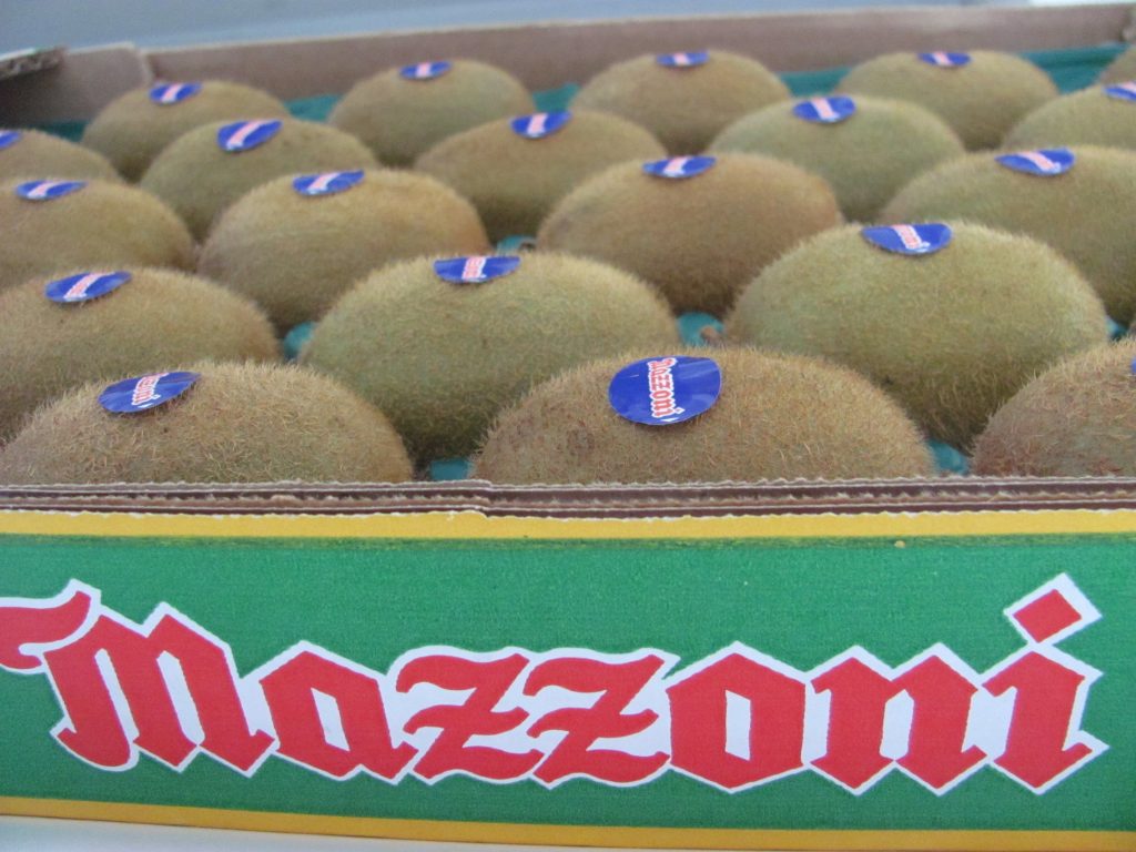 Mazzoni signed a new partnership with Jingold, one of the most prestigious brand for yellow and green kiwi.