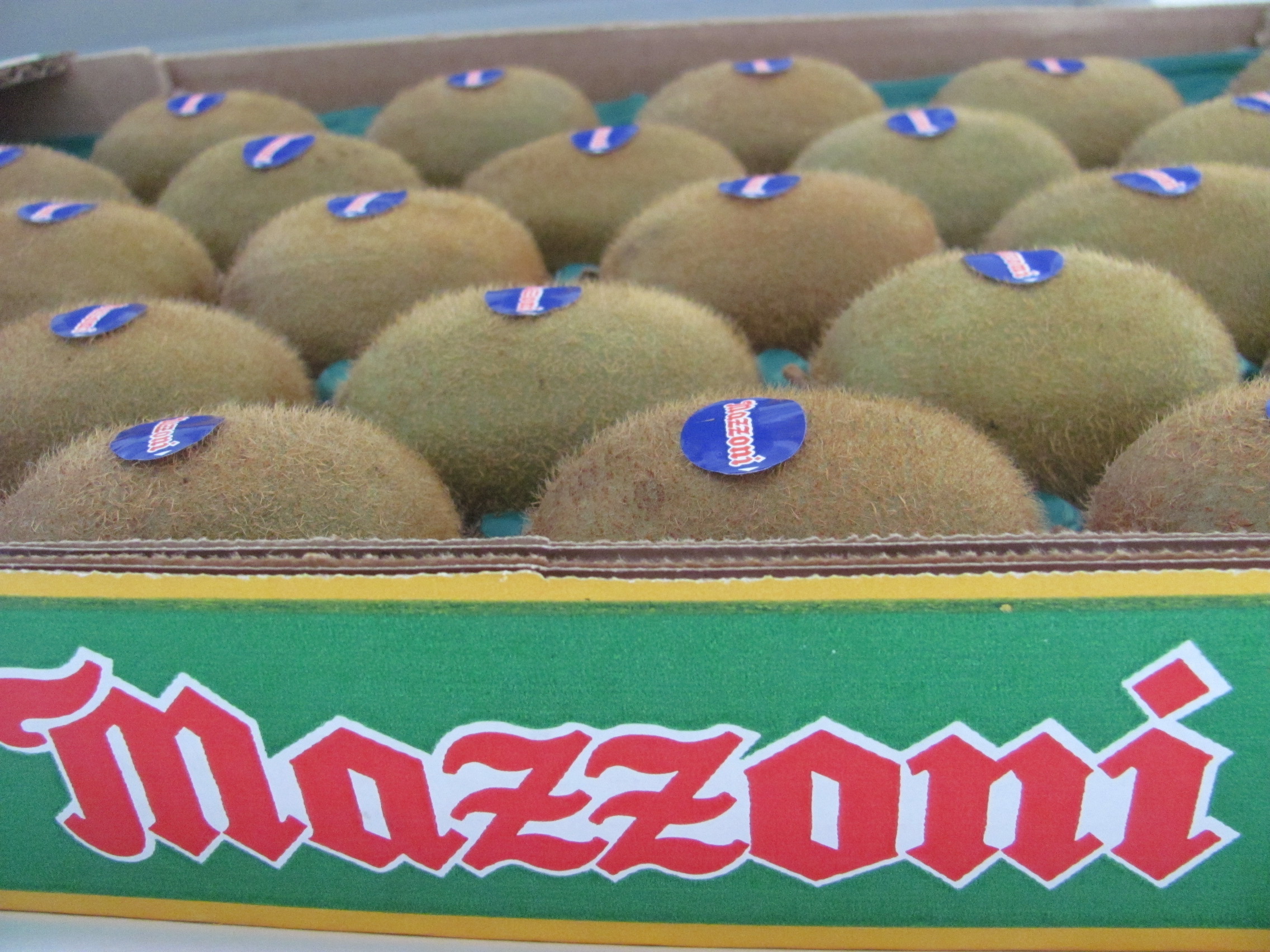 Mazzoni signed a new partnership with Jingold, one of the most prestigious brand for yellow and green kiwi.