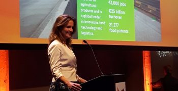 How Rotterdam’s food cluster fosters innovation, sustainability, profitability