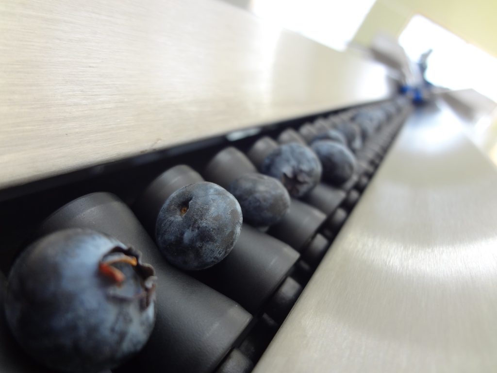 With the innovative patented Blueberry Vision Unitec Technology, fruit and vegetable pack-houses can obtain guarantees for the fruit quality selection and classification stage and always offer fruit with consistent quality over time to their Clients, ruling out the possibility of claims over fruit that fails to meet the agreed quality standards.